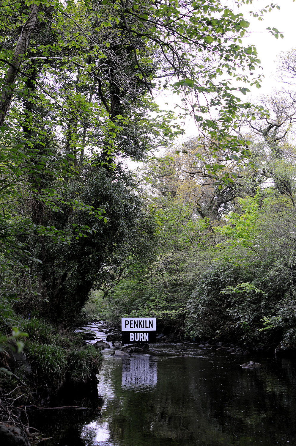 PENKILN BURN painting overlooking the waters of The Penkiln Burn 2009