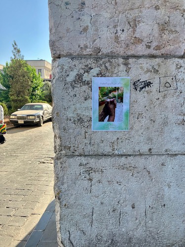 The Tied Hands in Damascus